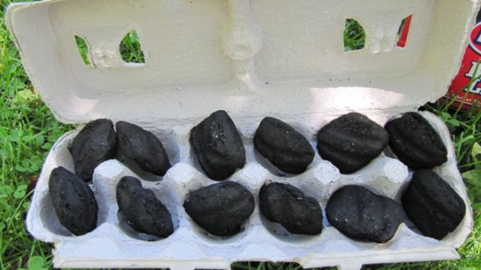 An egg carton with charcoal in the egg slots.