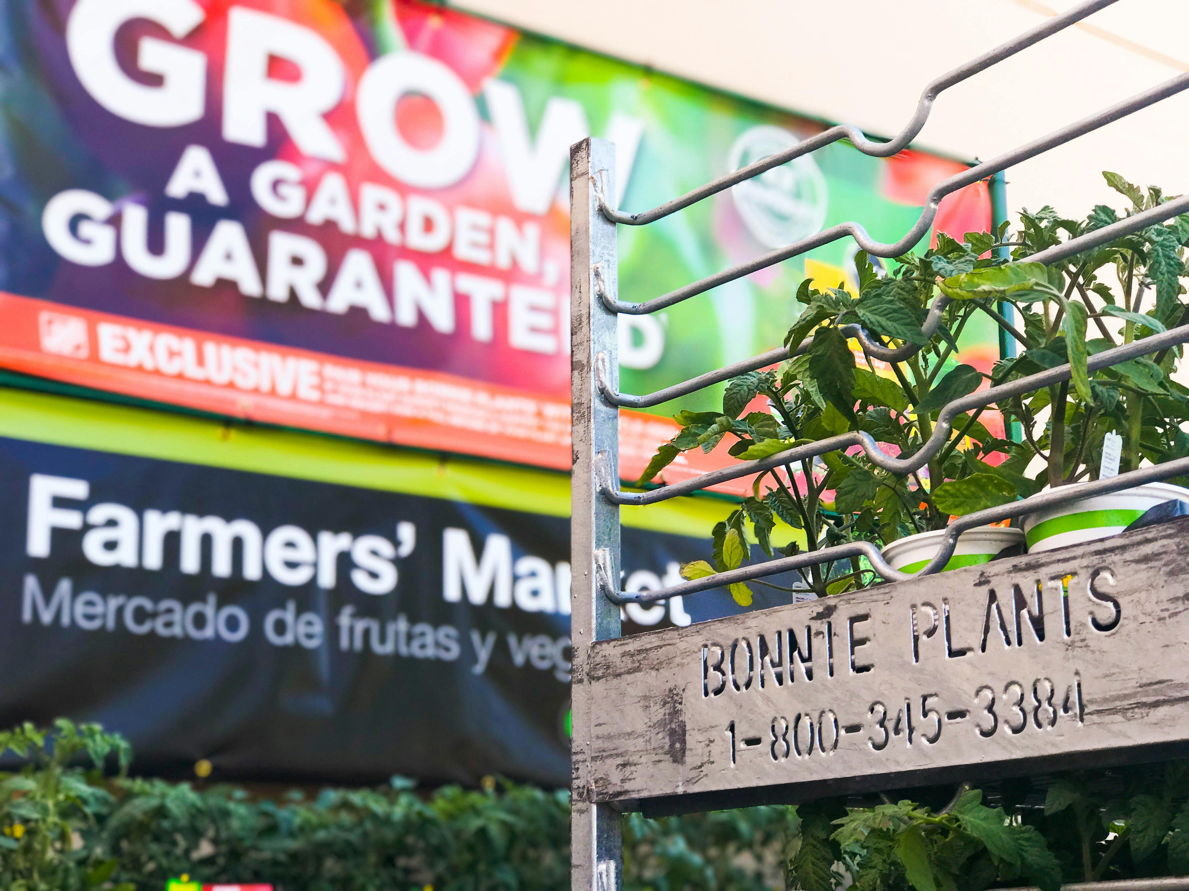 11 Tips to Conquer Home Depot Garden Center Shopping The Krazy Coupon