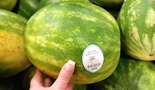 watermelon sv 1527173547