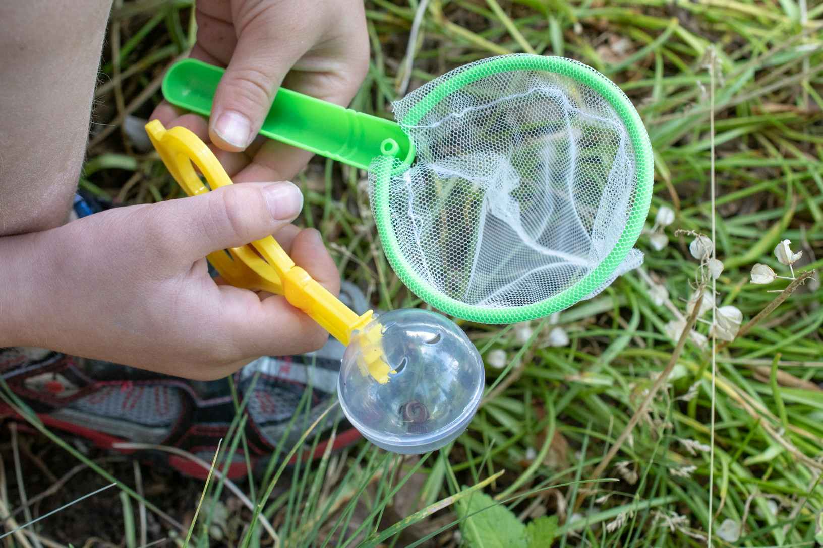 A child's hands holding a small net and a magnifying bug catching device above some grass.