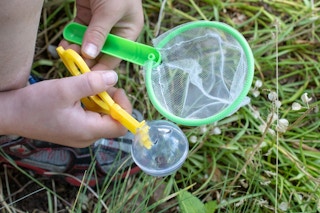 A child's hands holding a small net and a magnifying bug catching device above some grass.