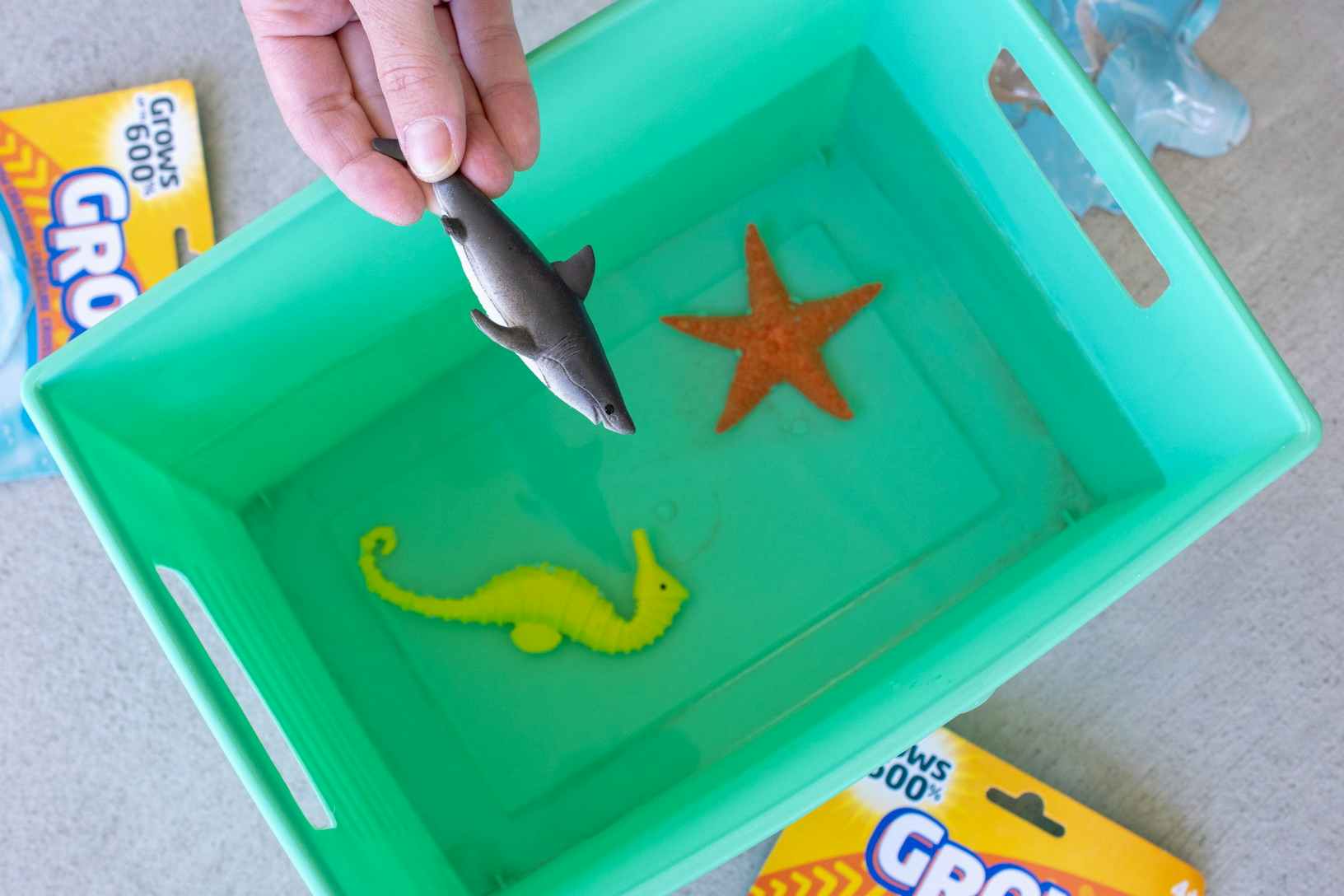 A person's hand holding a toy shark above a square bucket filled with water, with a seahorse toy and starfish toy sitting at the bottom.
