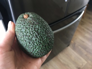 freeze avocado 1530118516