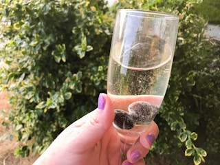 wine 2018 1530121101