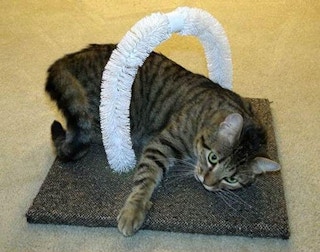 a cat scratch themselves with this diy self-petting station made from toilet bowl brushes