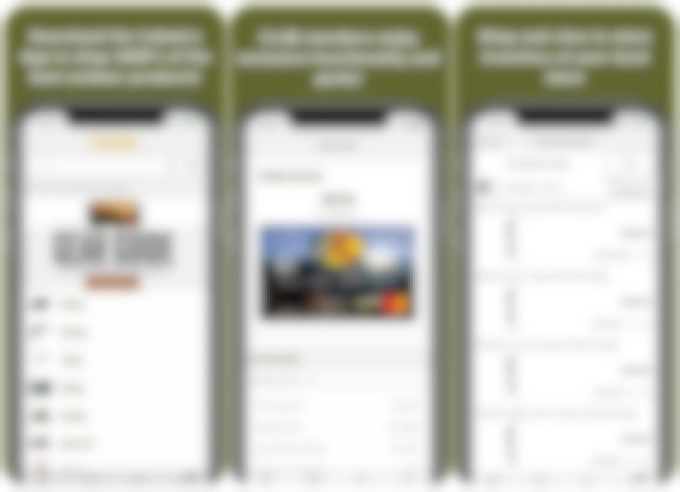 A graphic of three phones showing the Cabela's mobile app features.