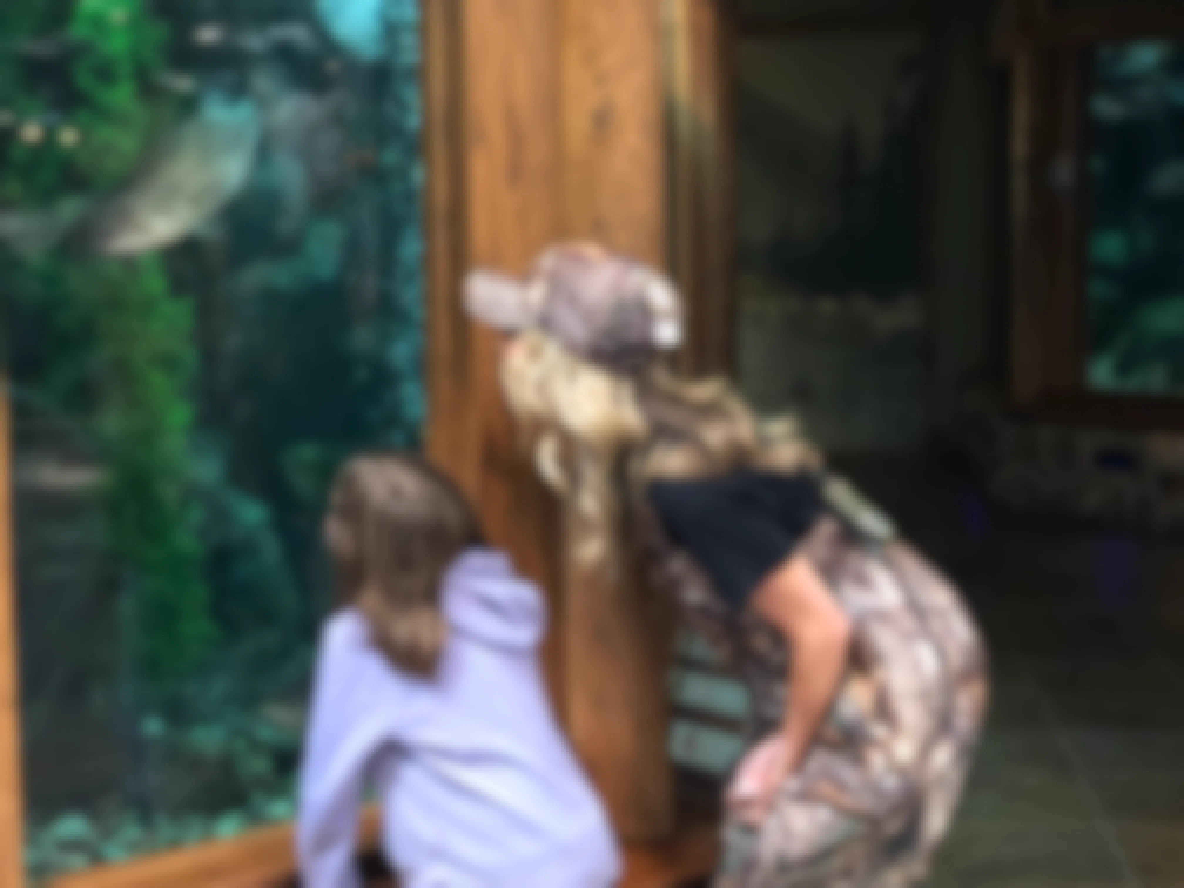 A woman and her daughter looking at the fish in the aquarium inside Cabela's.