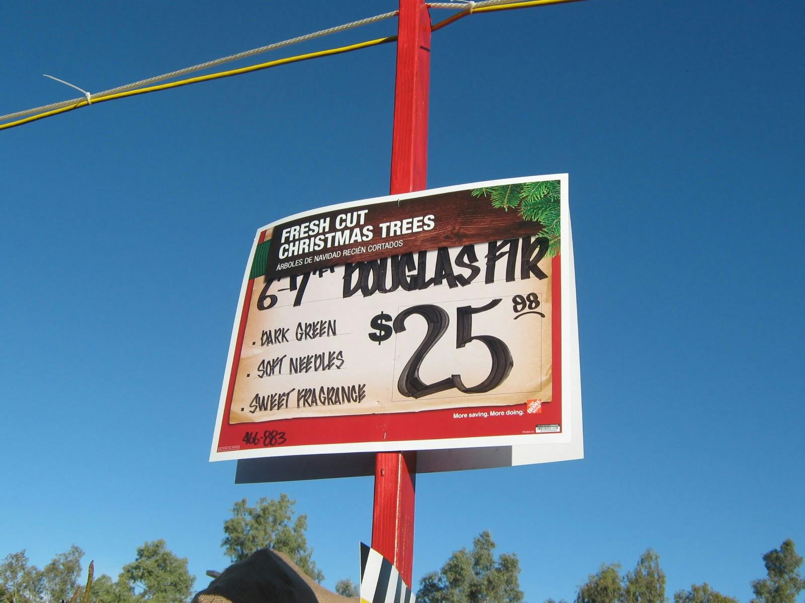 Amazon Wants to Sell You a Live Christmas Tree This Year The Krazy