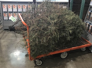 costco return policy tree 1536077457