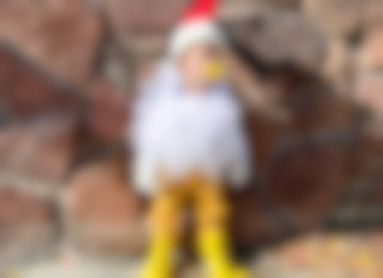 A little boy dressed as a chicken for Halloween standing against a stone wall