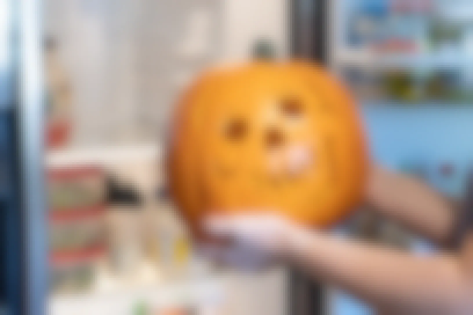 Someone putting a carved pumpkin into a refrigerator