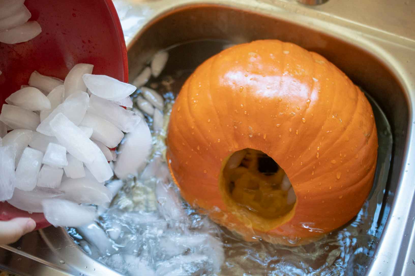 A pumpkin being placed in a sink full of ice