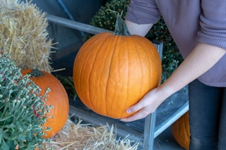 Person picking up a pumpkin near a haystack