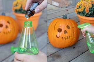 Person adding peppermint oil to a spray bottle and spraying a carved pumpkin