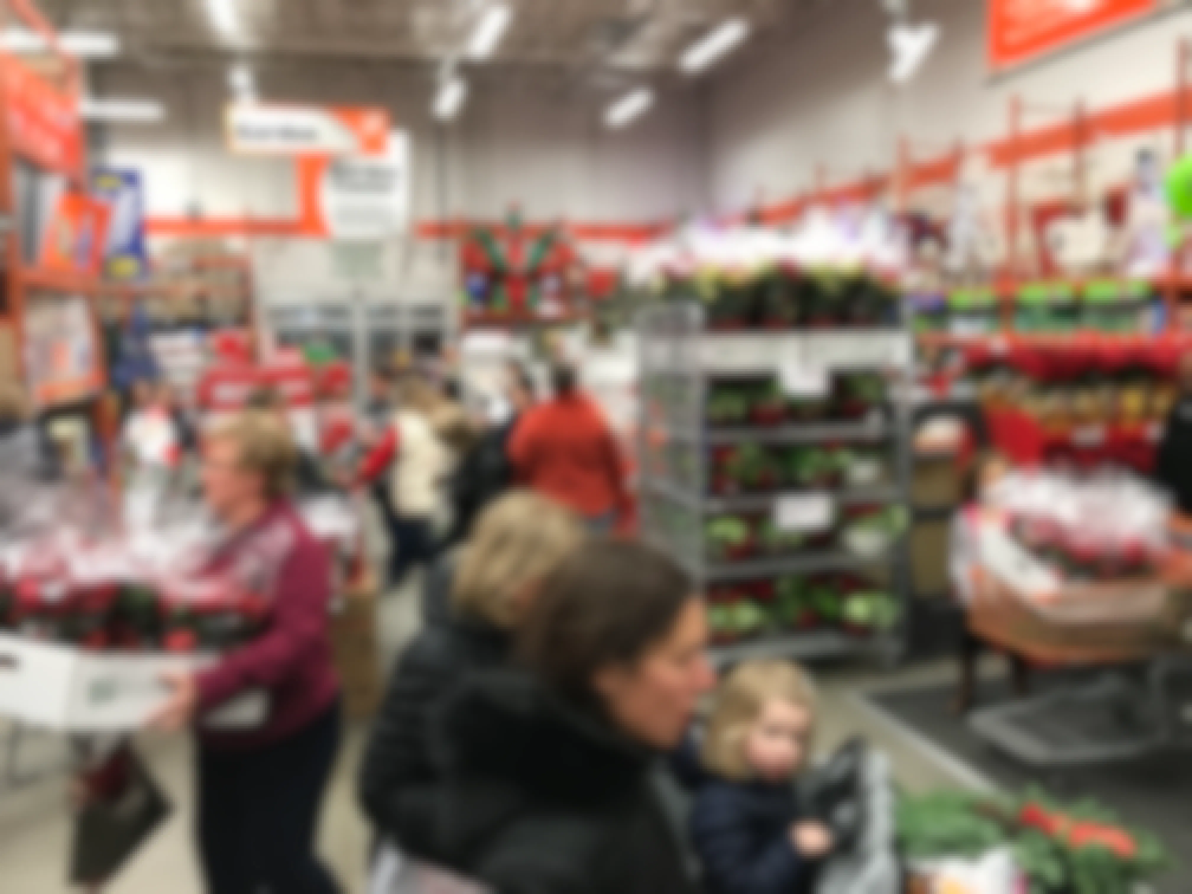 Home Depot Black Friday crowds with plant sale