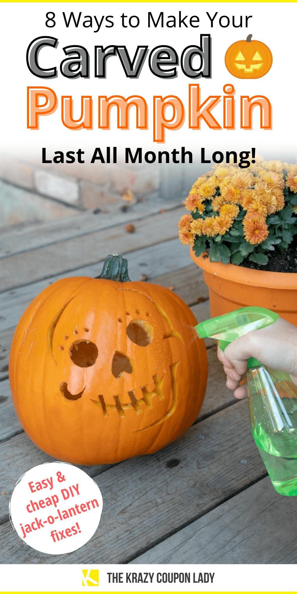 8 Ways to Make Your Carved Pumpkin Last All Month