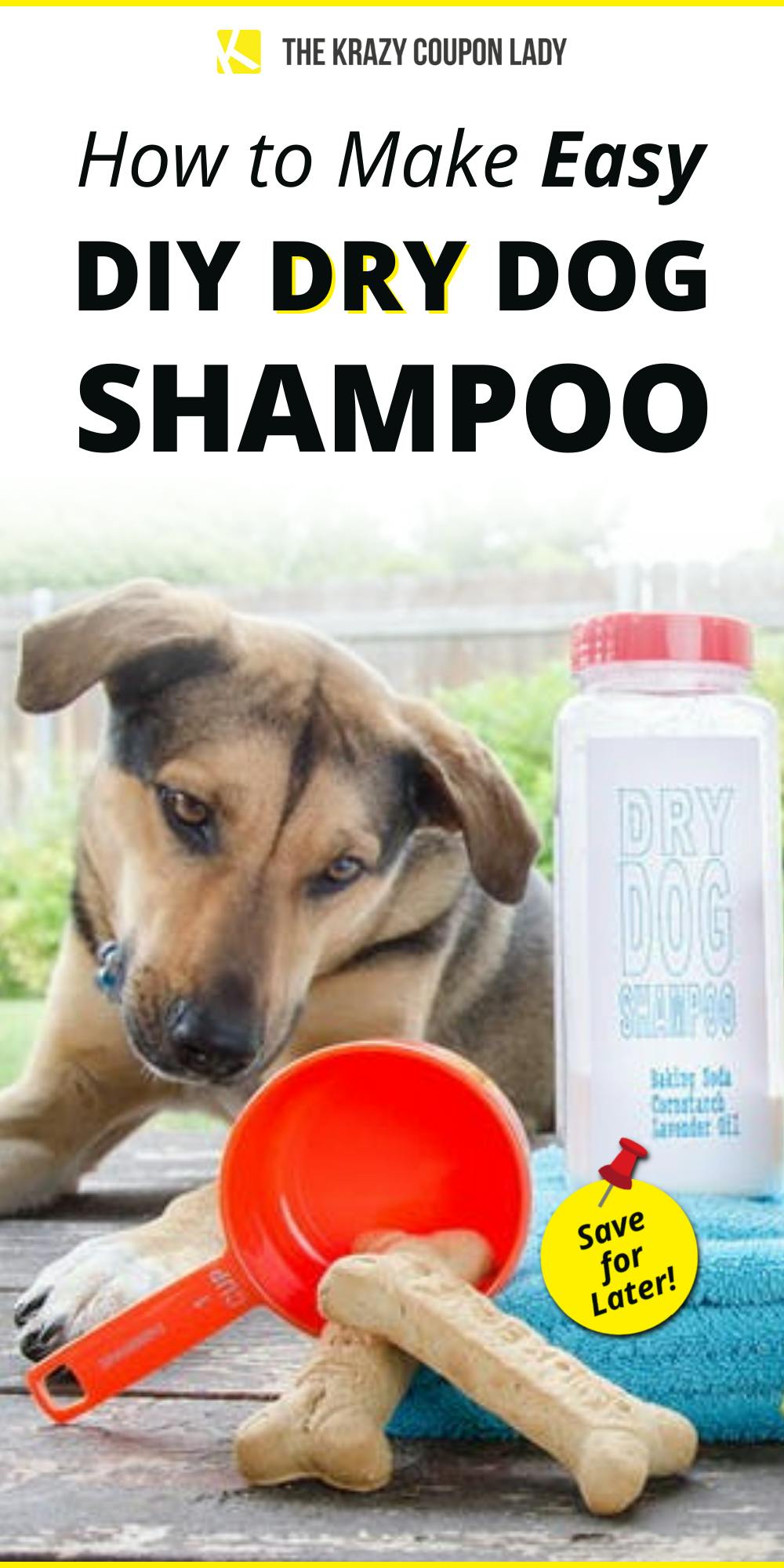 How to Make DIY Dry Shampoo for Dogs