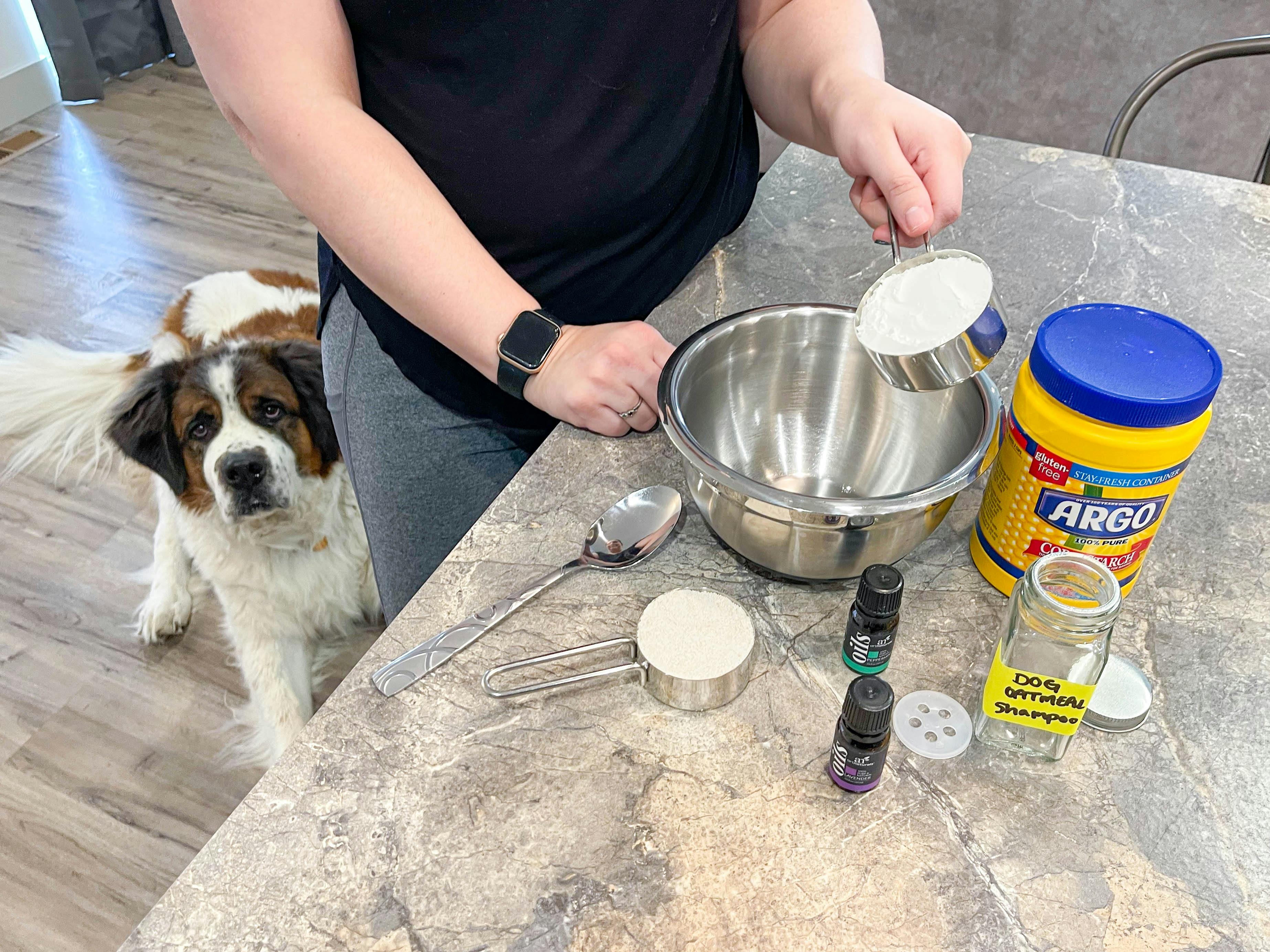 DIY Dry Shampoo for Dogs The Krazy Coupon Lady