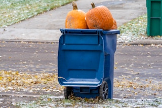 A blue garbage can sitting near the side of a road filled with pumpkins.