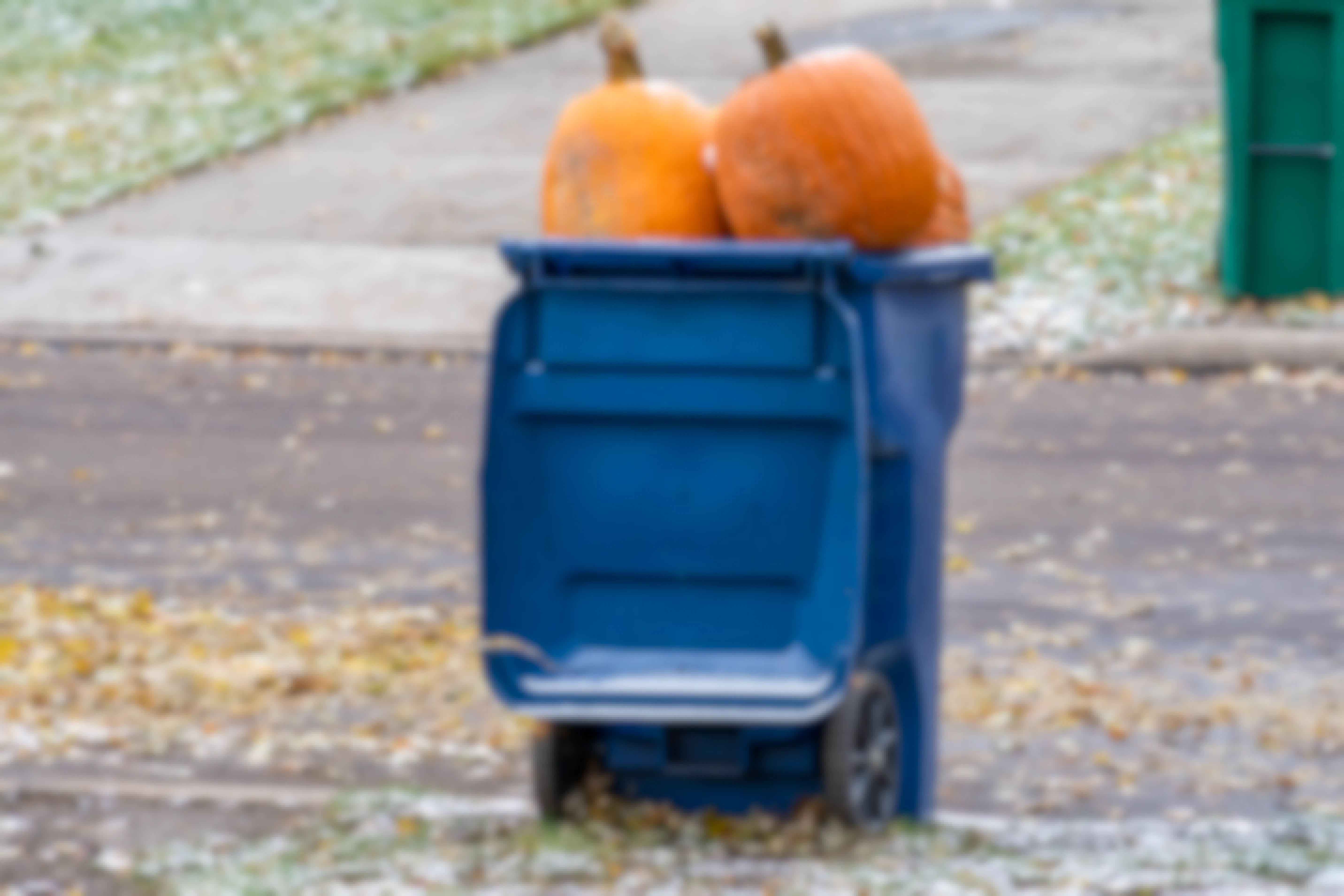 A blue garbage can sitting near the side of a road filled with pumpkins.