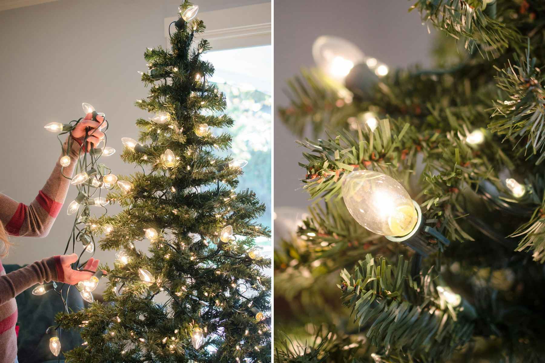 c9 Christmas light bulbs being added to a Christmas tree.