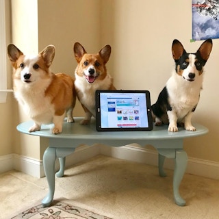 blue mountain ecard holiday freebies 1542402523