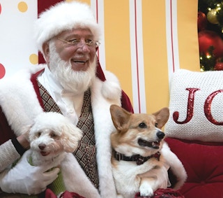 holiday pet photos 1541087766