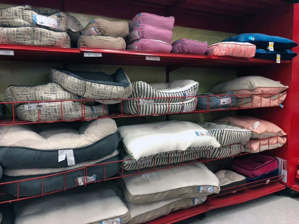 pet beds