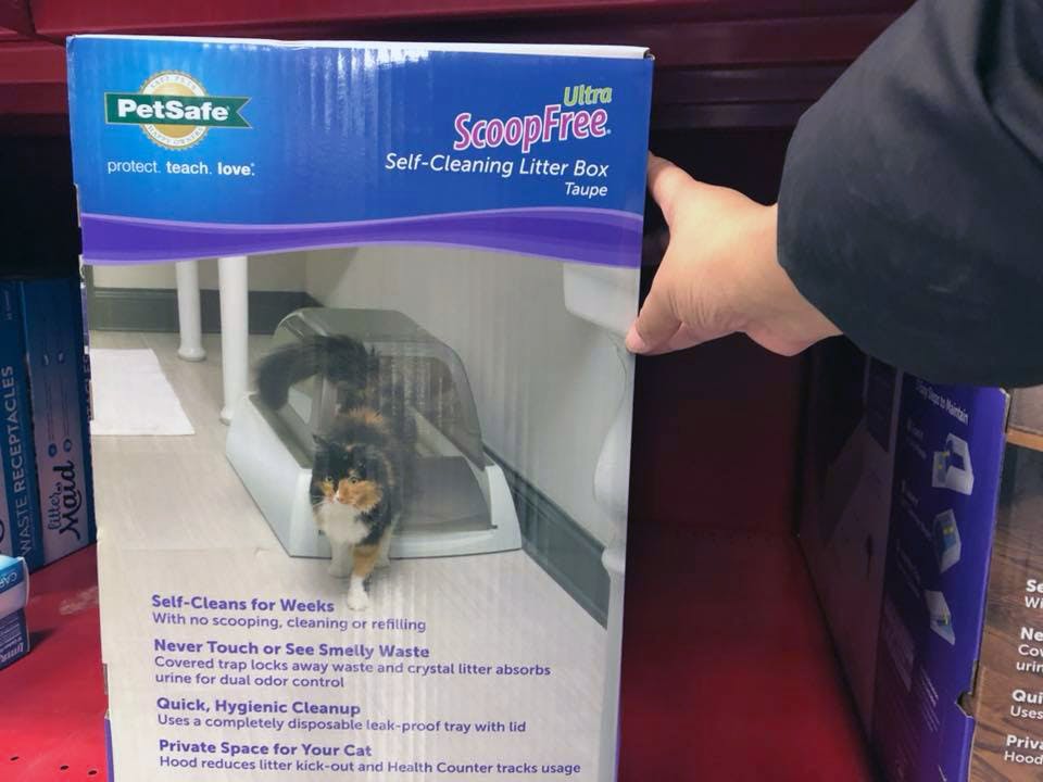 50 Off Automatic Self Cleaning Litter Boxes At Petco The Krazy Coupon Lady