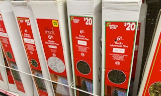 xmastreedglb112918 1543496913