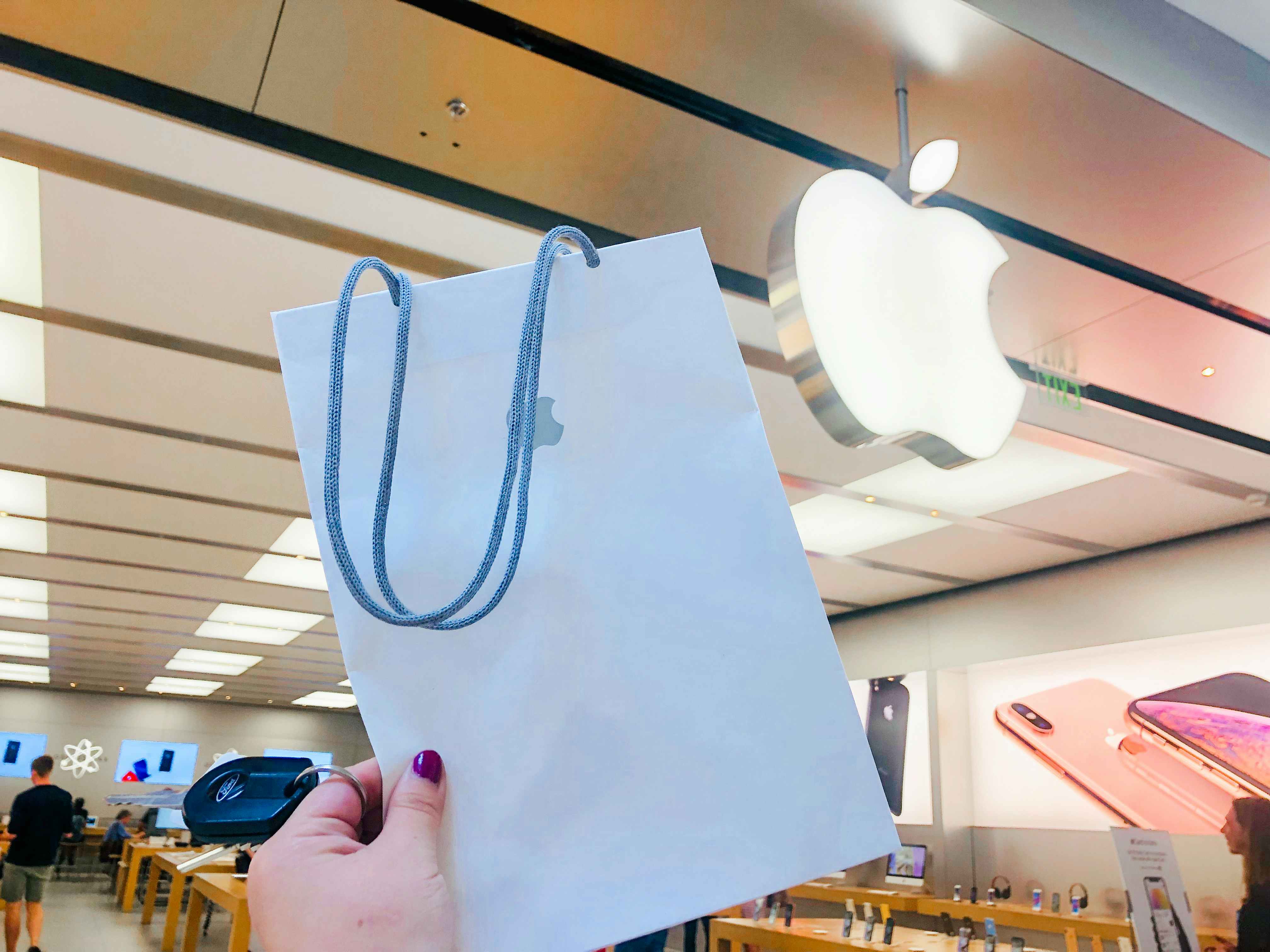 a person holding an apple store bag at the apple store