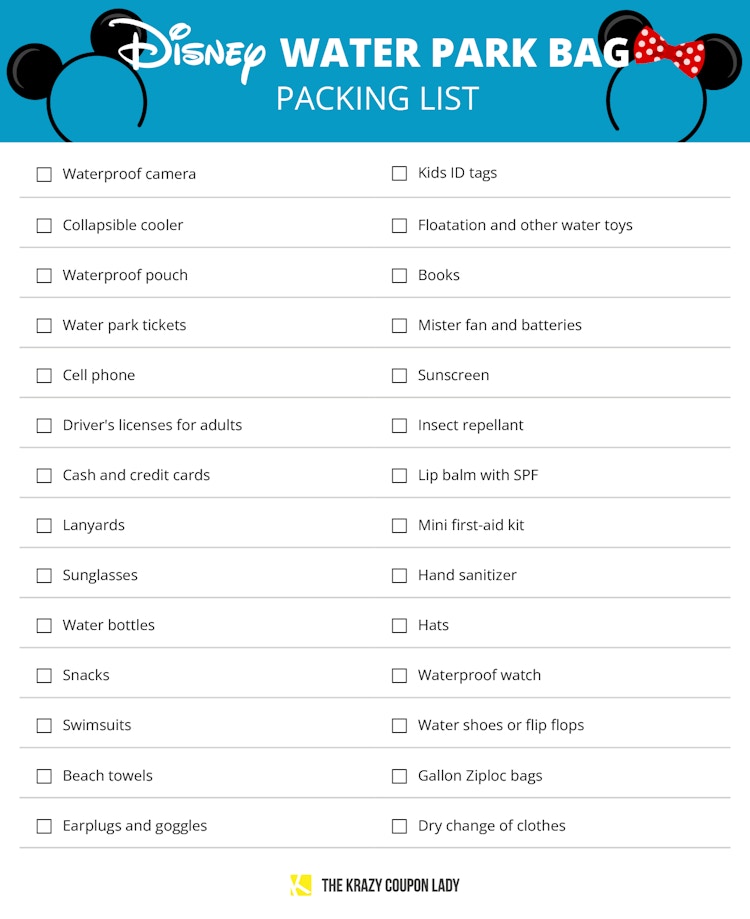 A graphic with list showing Disney water park items