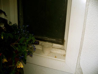 silica window 1544022202