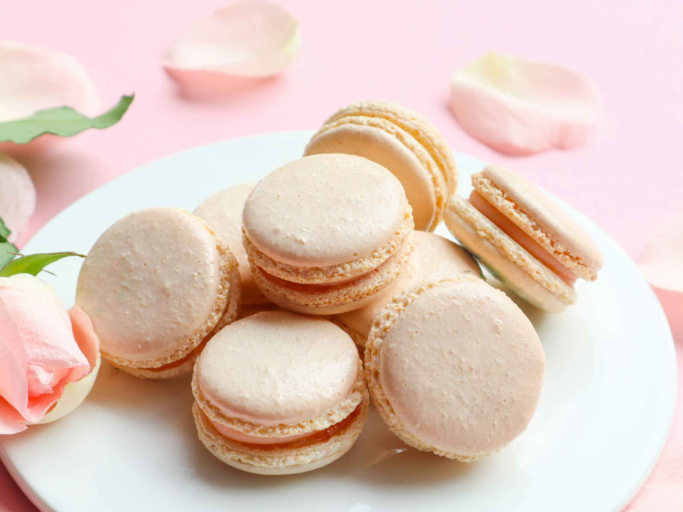 A plate of pastel pink champagne macarons