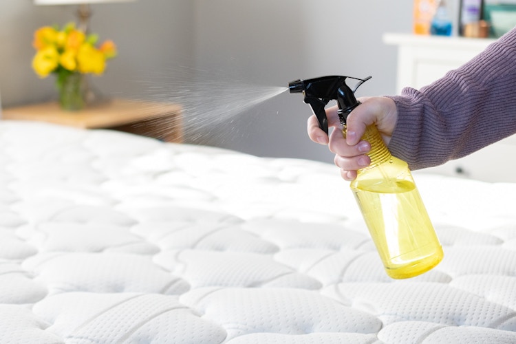 A person spraying the contents of a yellow spray bottle onto a mattress 