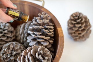 Woman adding drops of essential oil to pine cones