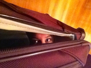 hiding in luggage 1547126928 e1547126942636
