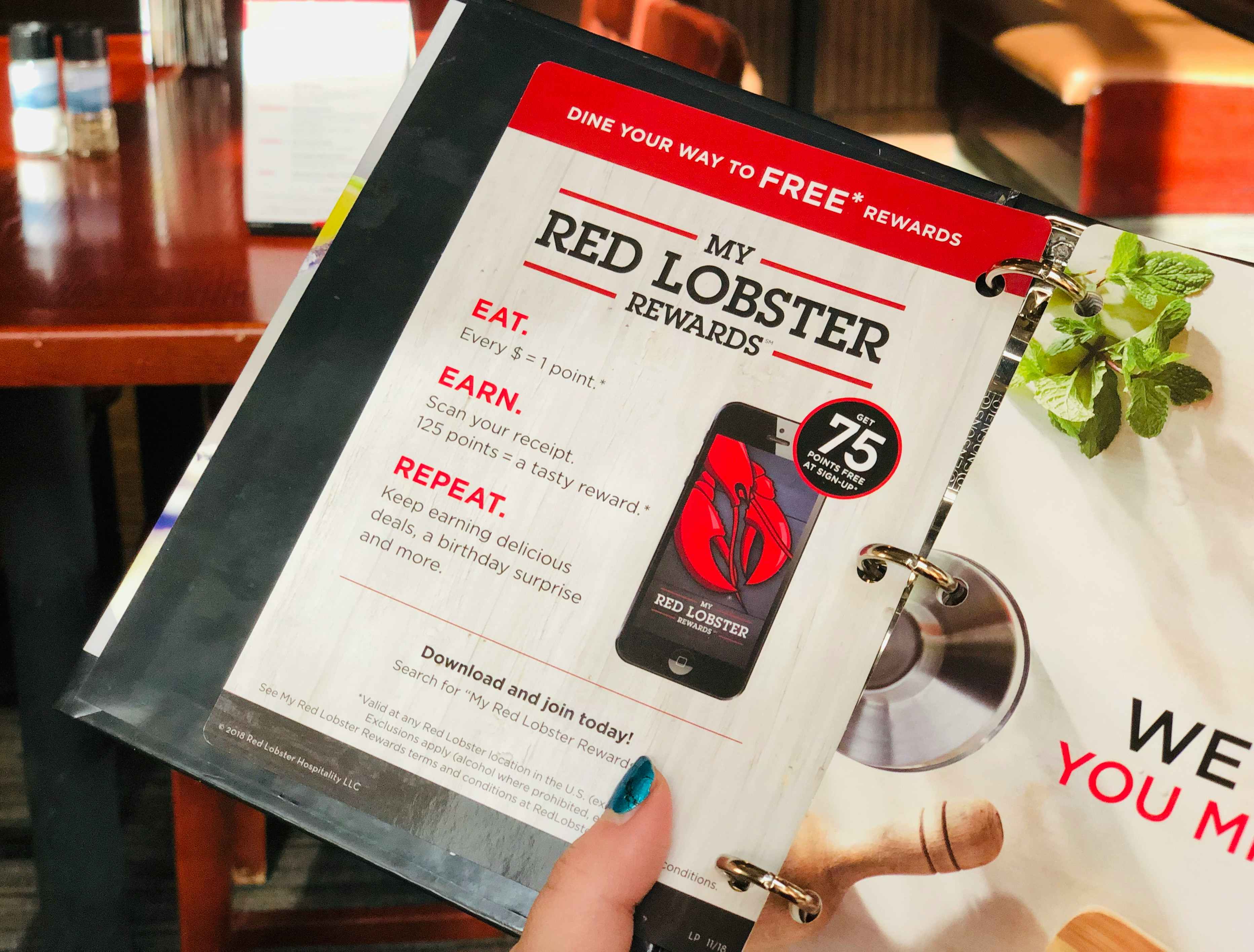 Photo of someone holding a booklet explaining the Red Lobster rewards program.