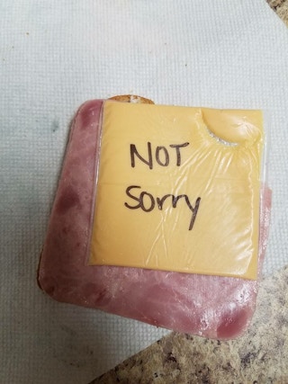 sandwich not sorry 1547126873