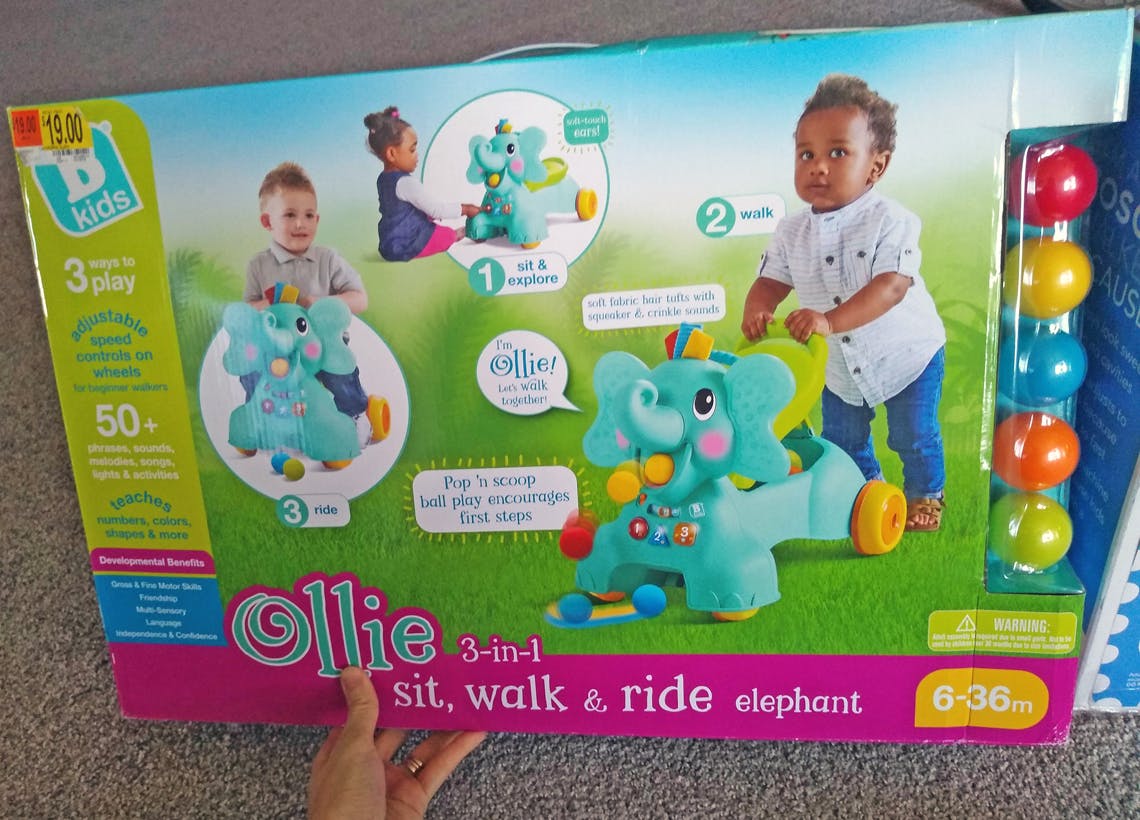 ollie sit walk and ride elephant