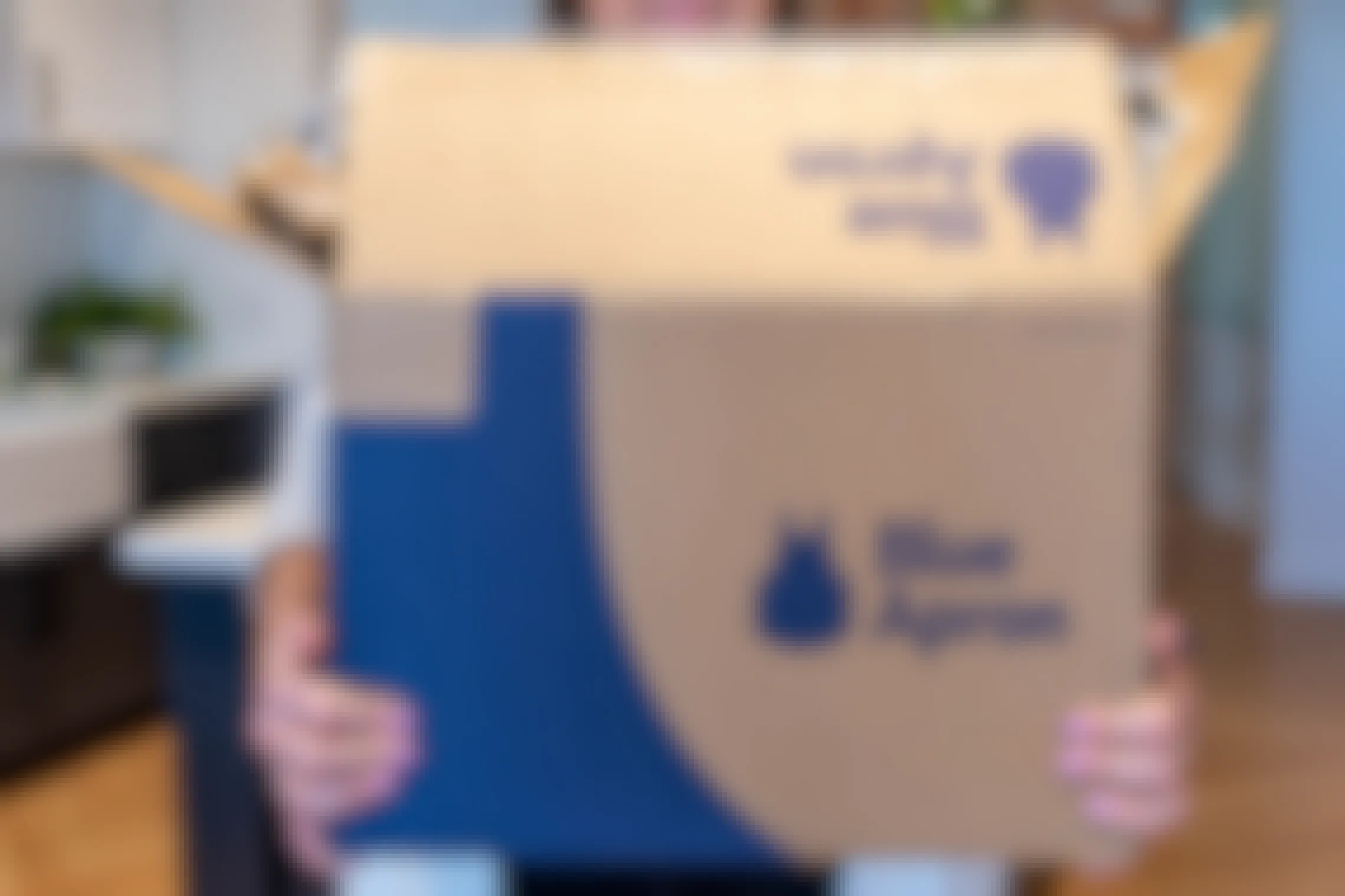 Someone holding a blue apron meal kit box.