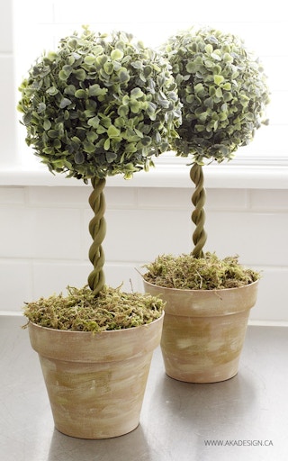 diy topiary trees in bamboo pots made to look like terra cotta 1553614292