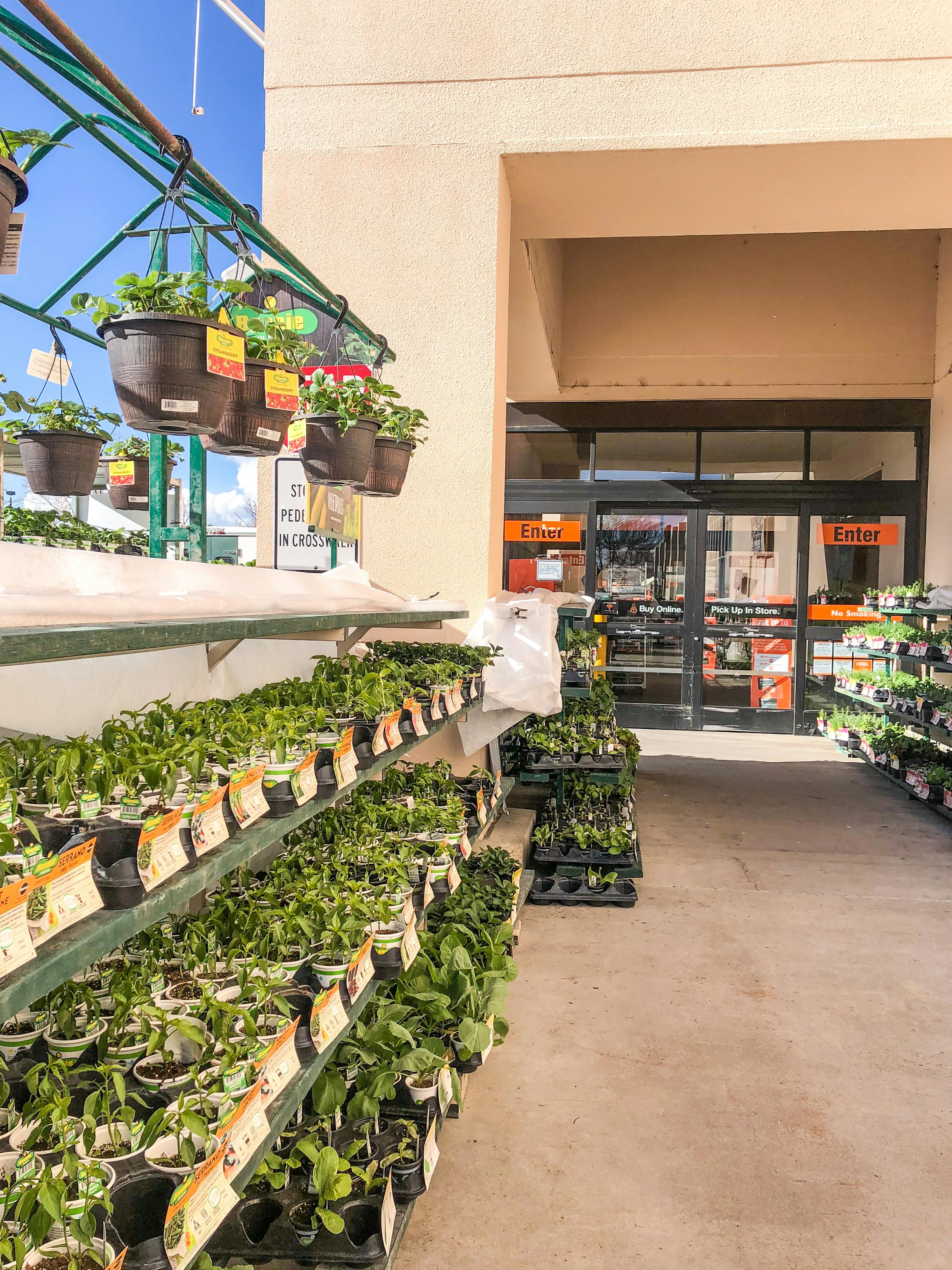 The entrance to Home Depot with a vegetable display to the right.