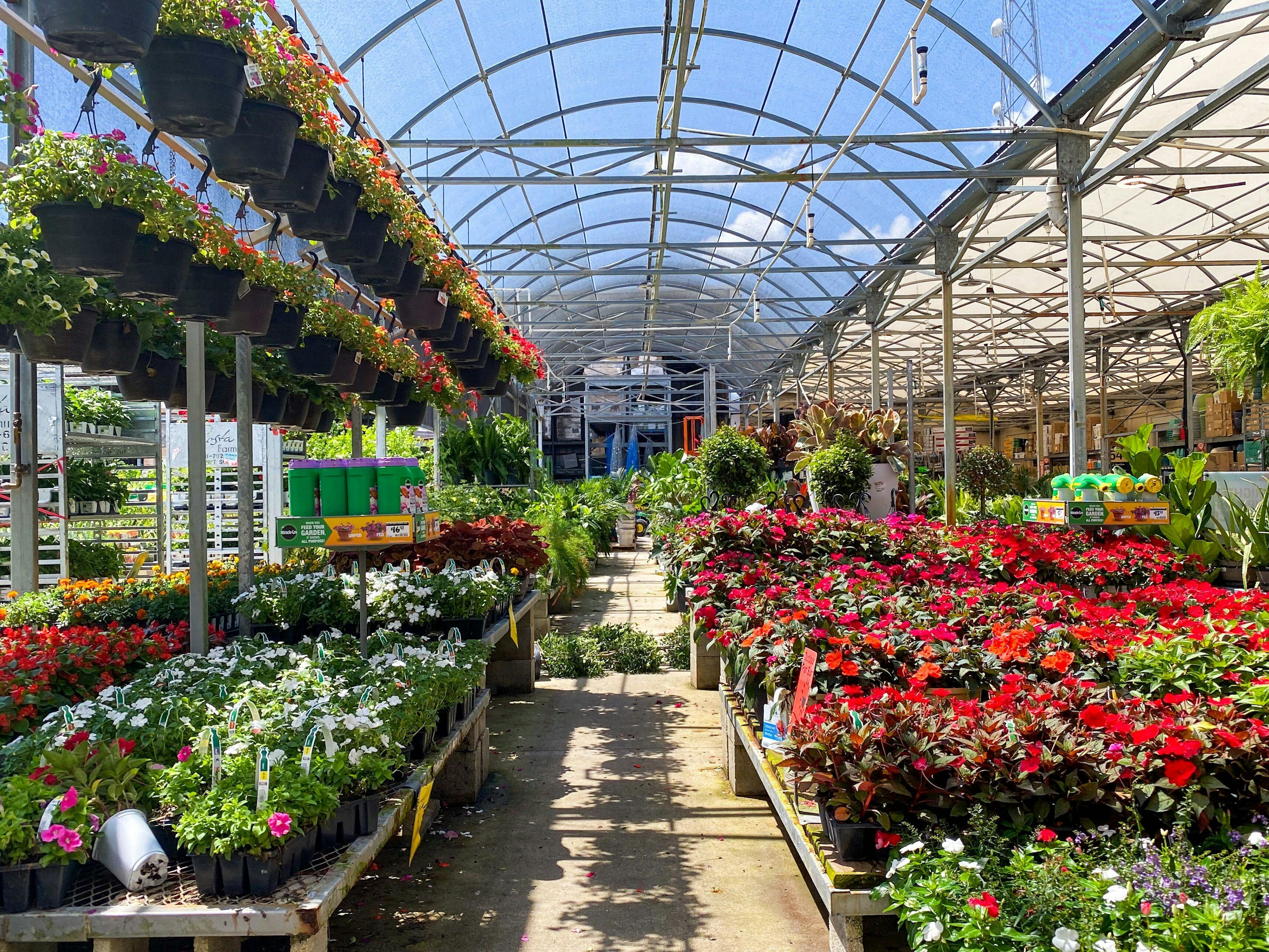 Bath and Body Works Coupons The Krazy Coupon Lady June 2022