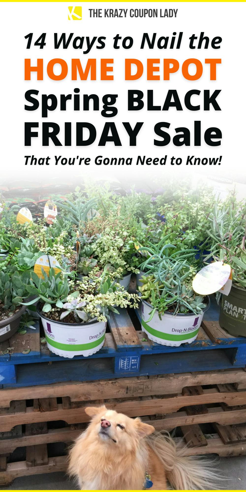 Best Deals for Home Depot 2022 Spring Black Friday - The ...