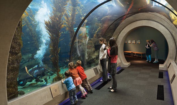 Free Things to do in Los Angeles: California Science Center
