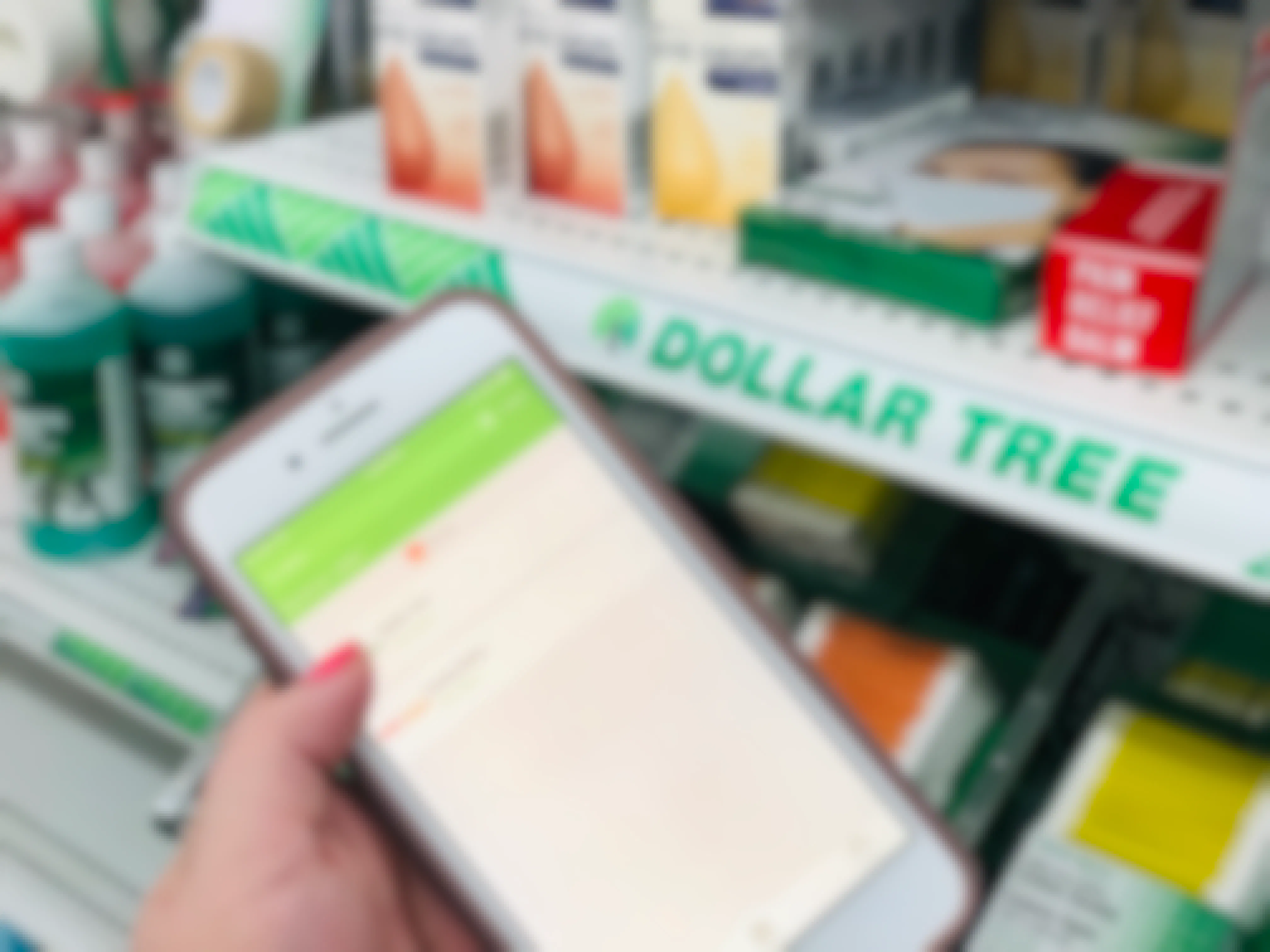 someone holding phone with ebates in dollar tree