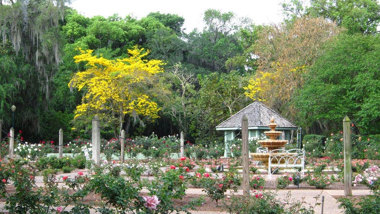 Free things to do in Orlando: Harry P. Leu Gardens