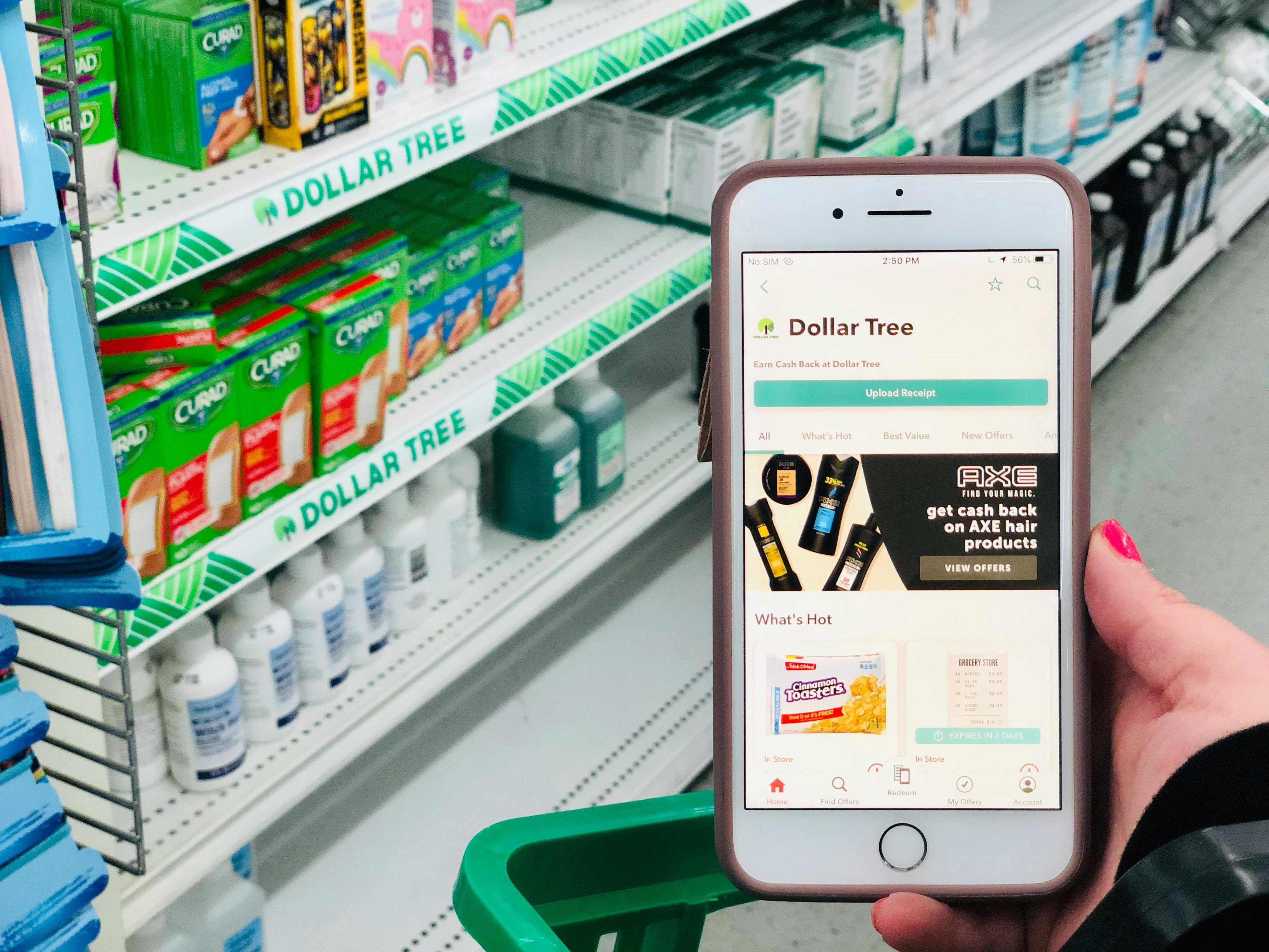 someone holding phone with ibotta app open in dollar tree