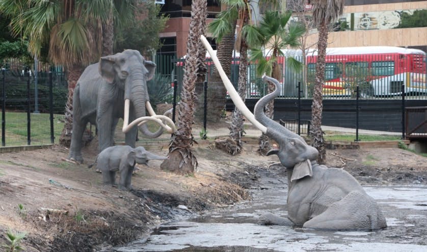 Free Things to do in Los Angeles: La Brea Tar Pits